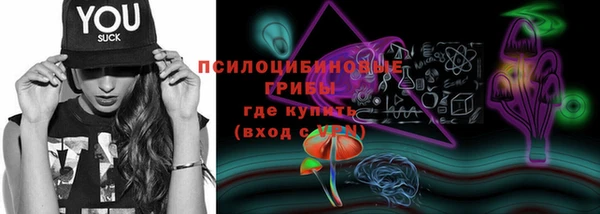 винт Дмитров