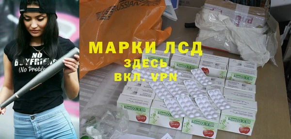 спайс Аша