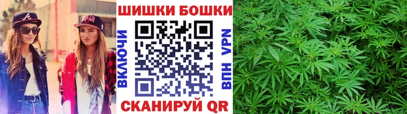 Конопля сатива Ирбит